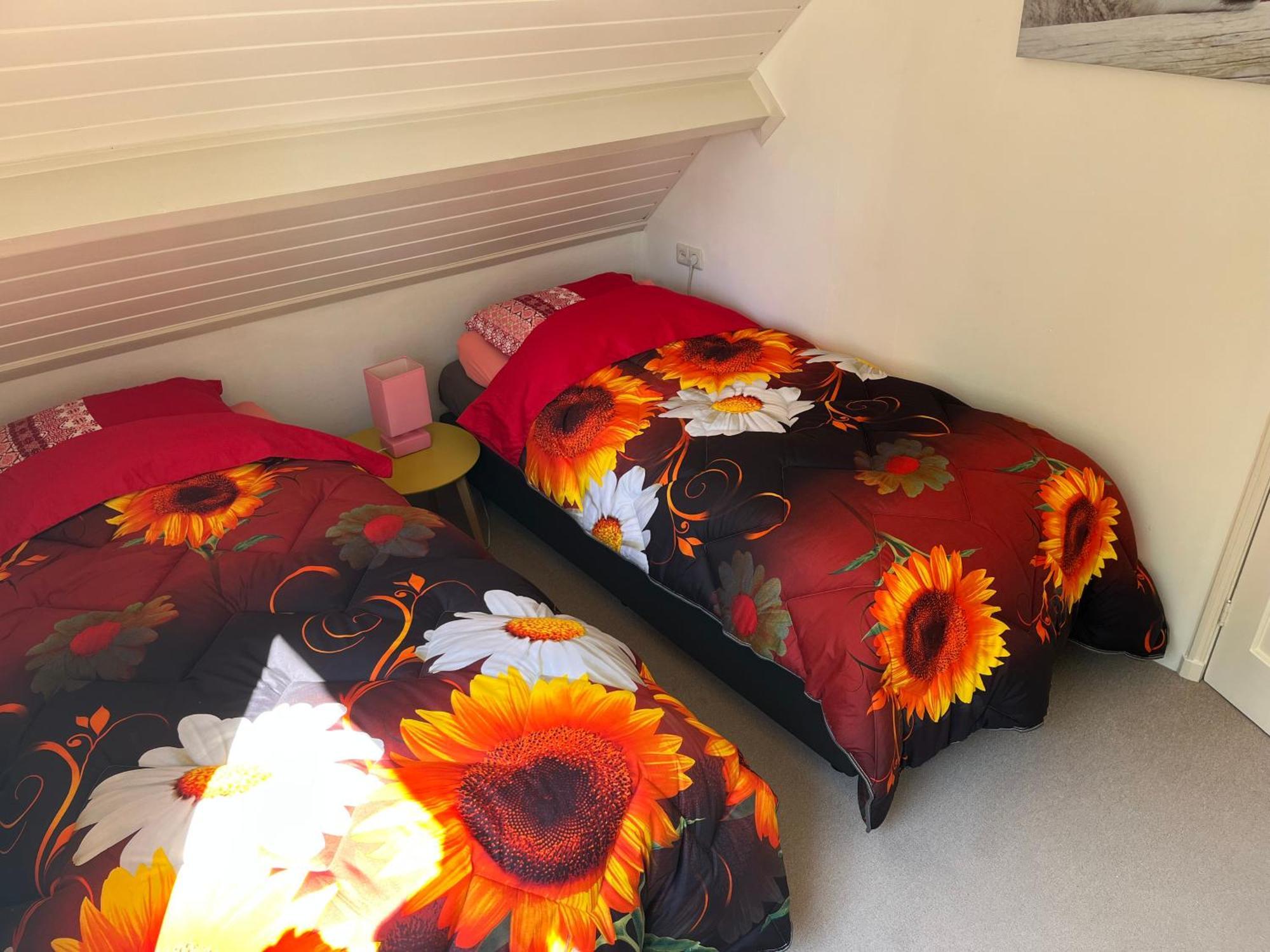 B&B Dol - Fijn Benningbroek Extérieur photo