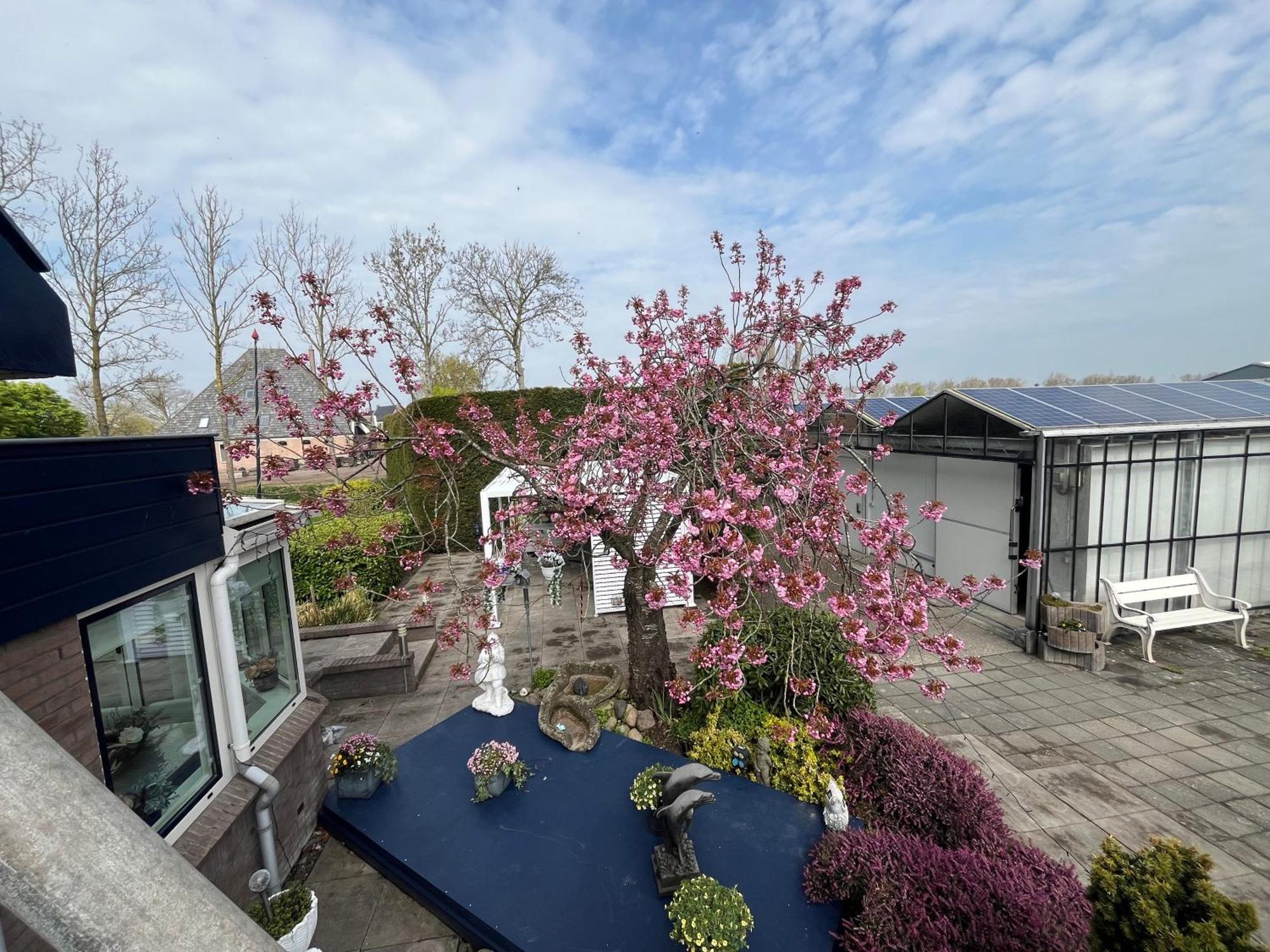 B&B Dol - Fijn Benningbroek Extérieur photo