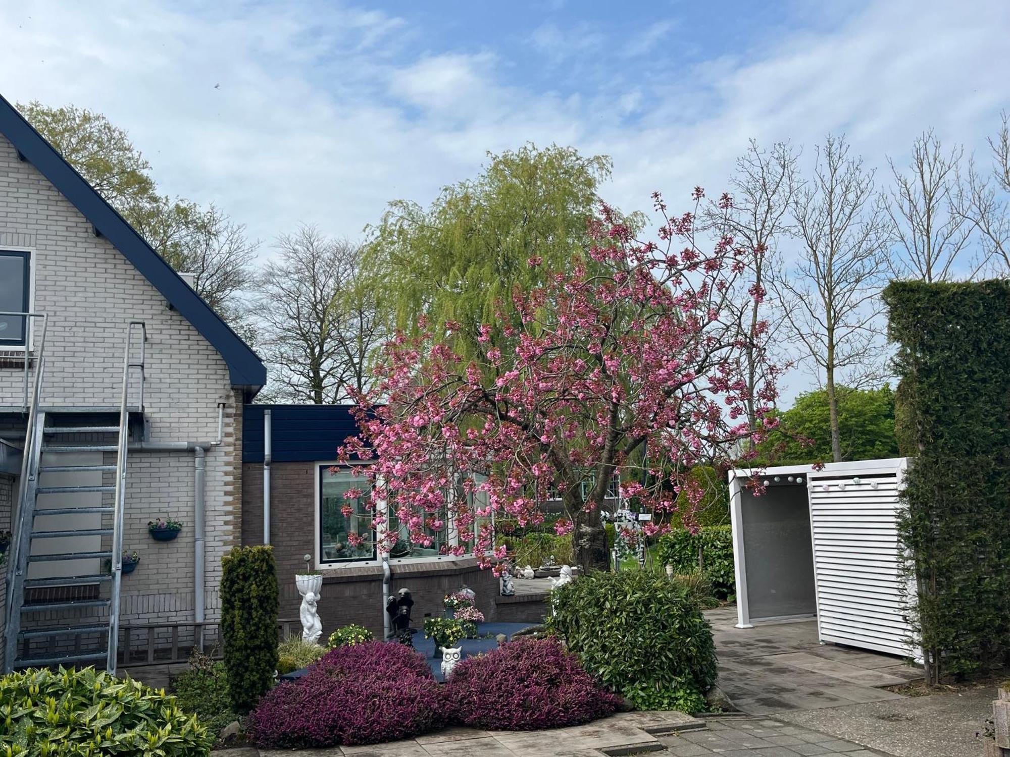 B&B Dol - Fijn Benningbroek Extérieur photo